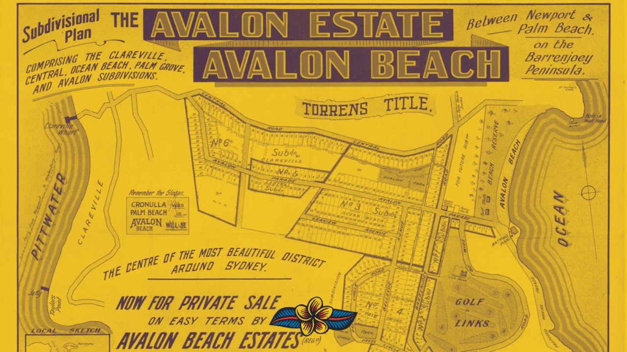 JOIN THE AVALON PALM BEACH BUSINESS CHAMBER